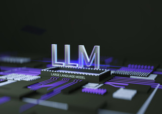 Software for LLM Training and Prompt Engineering